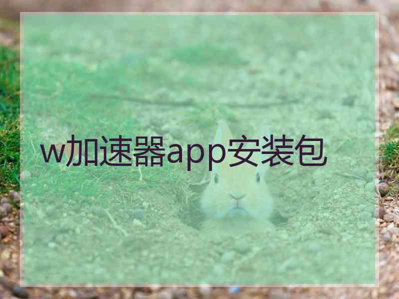 w加速器app安装包