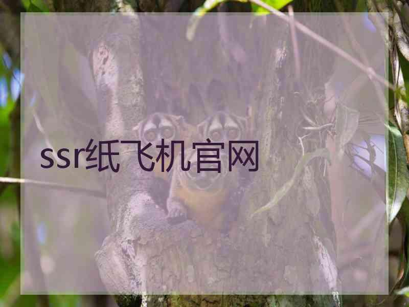 ssr纸飞机官网