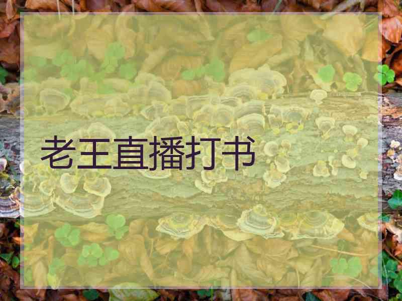 老王直播打书
