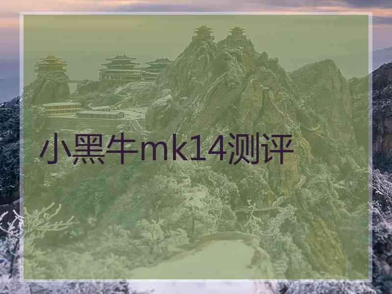 小黑牛mk14测评