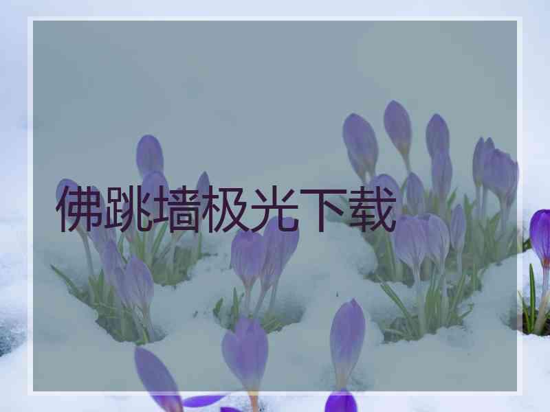 佛跳墙极光下载