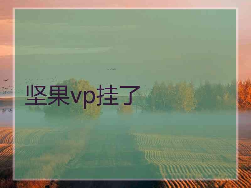坚果vp挂了
