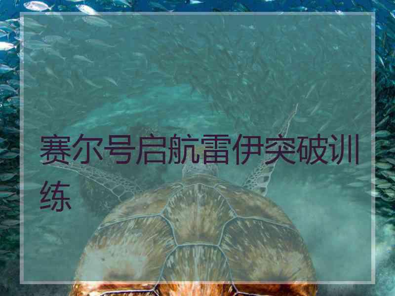 赛尔号启航雷伊突破训练
