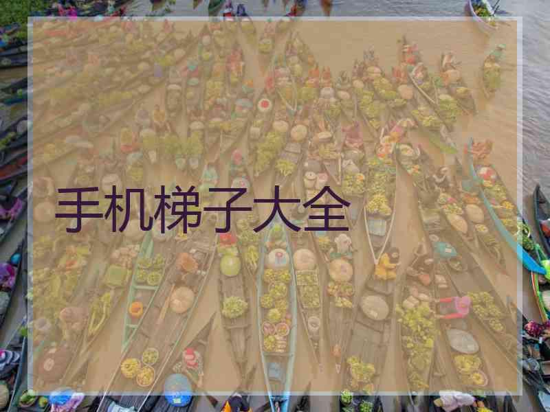 手机梯子大全