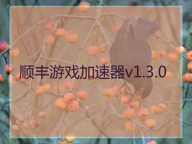 顺丰游戏加速器v1.3.0