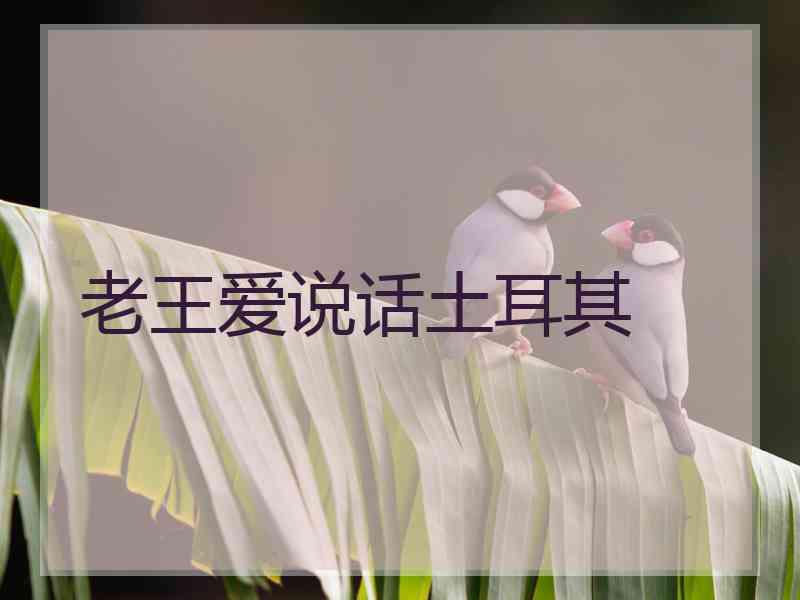 老王爱说话土耳其