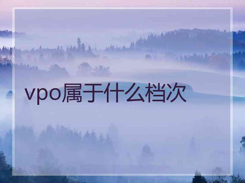 vpo属于什么档次