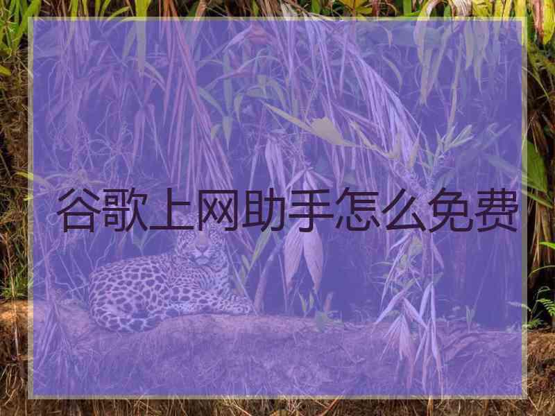 谷歌上网助手怎么免费