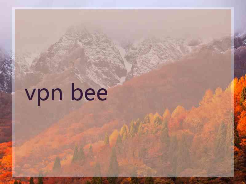 vpn bee