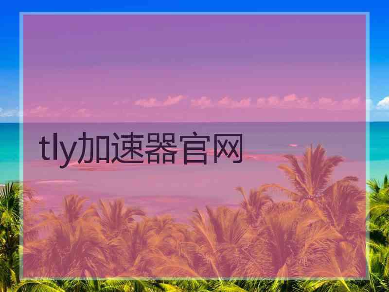 tly加速器官网