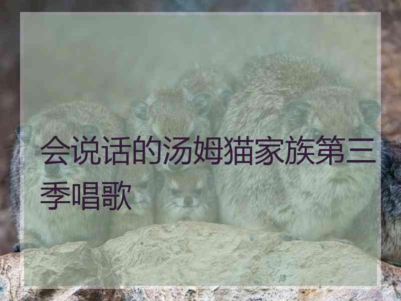 会说话的汤姆猫家族第三季唱歌