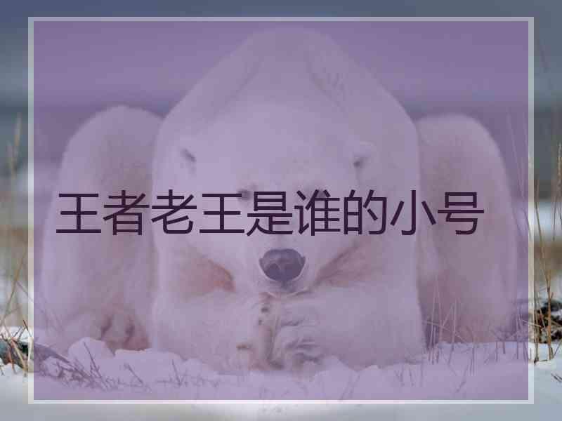 王者老王是谁的小号
