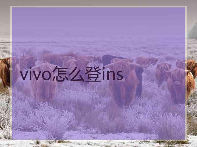 vivo怎么登ins