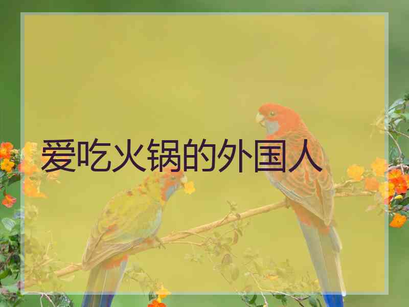 爱吃火锅的外国人