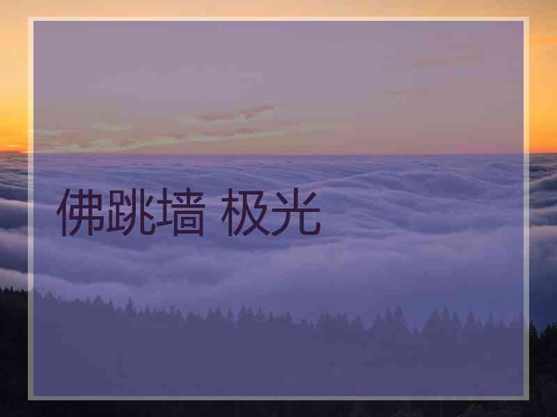 佛跳墙 极光