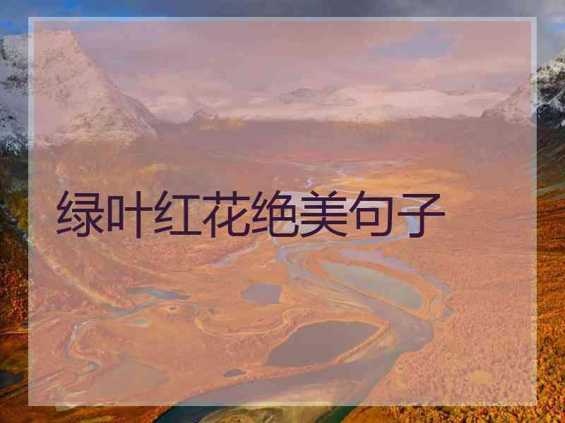 绿叶红花绝美句子