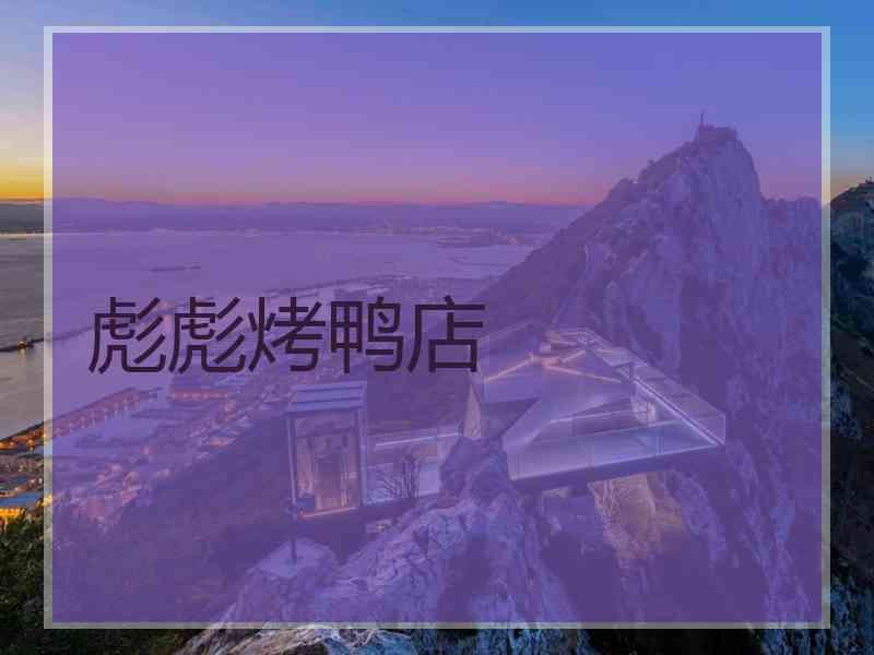 彪彪烤鸭店