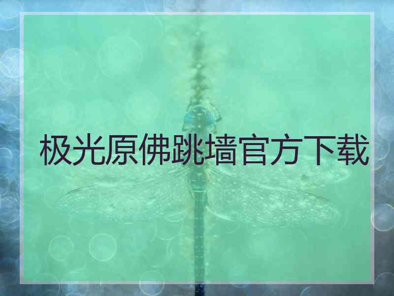 极光原佛跳墙官方下载