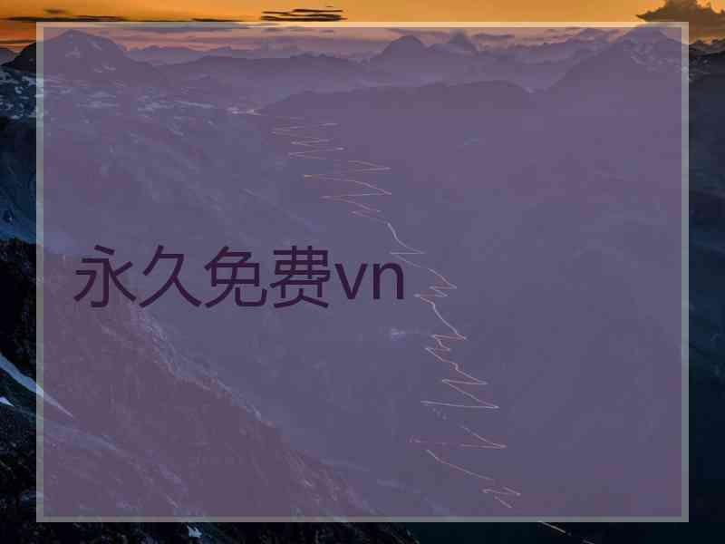 永久免费vn