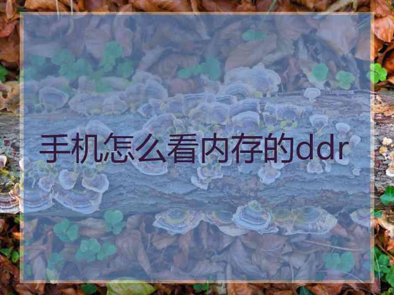 手机怎么看内存的ddr