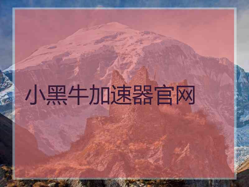 小黑牛加速器官网
