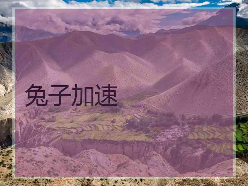 兔子加速