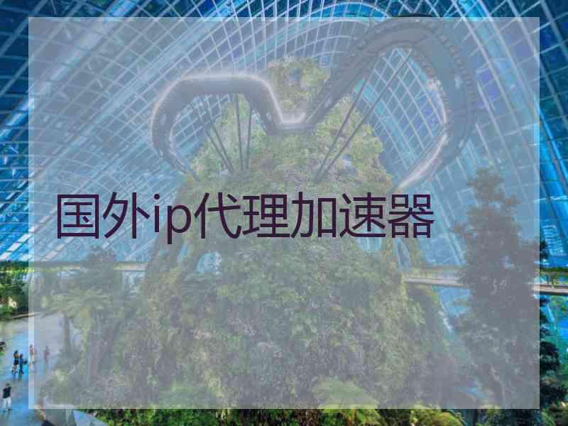 国外ip代理加速器