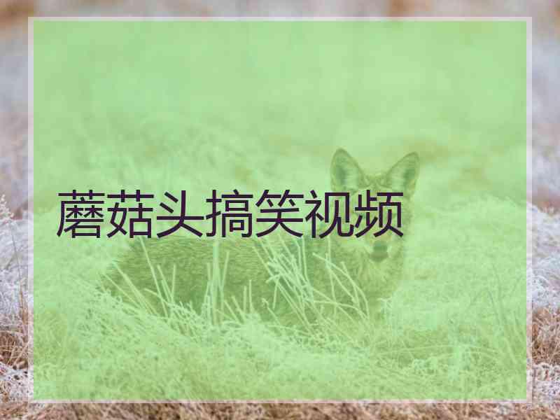 蘑菇头搞笑视频