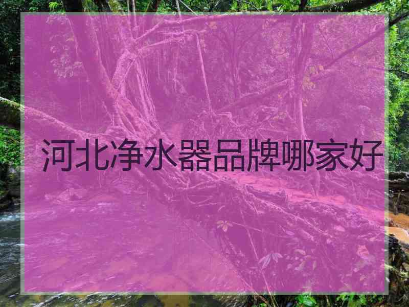 河北净水器品牌哪家好