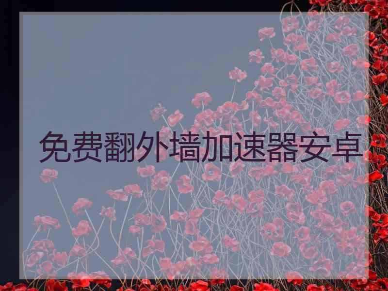 免费翻外墙加速器安卓