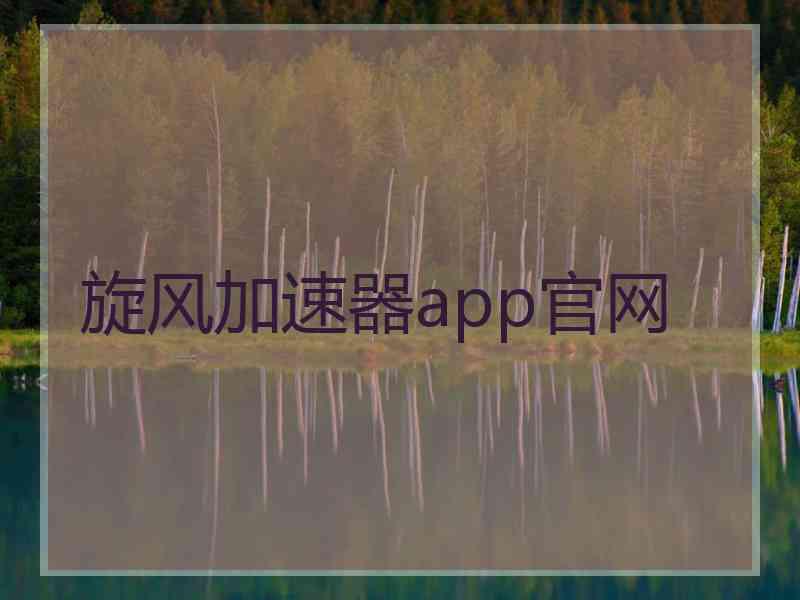 旋风加速器app官网