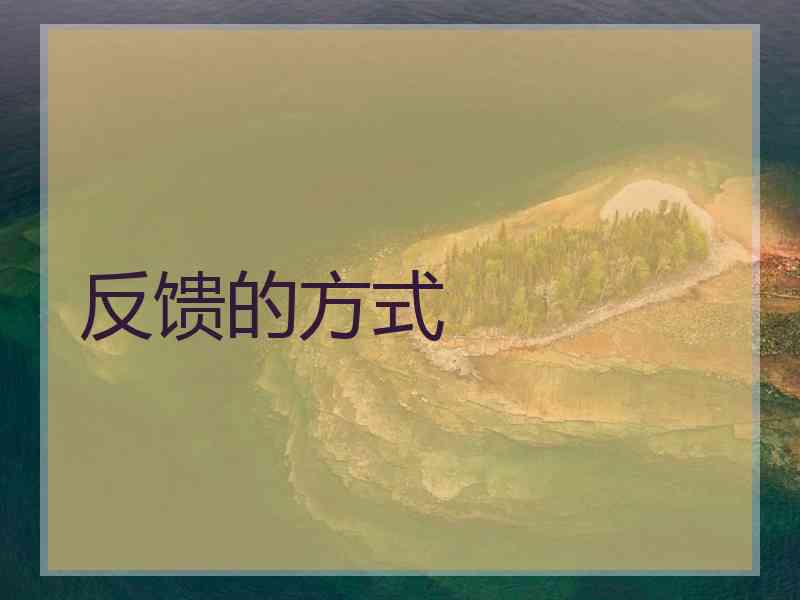 反馈的方式