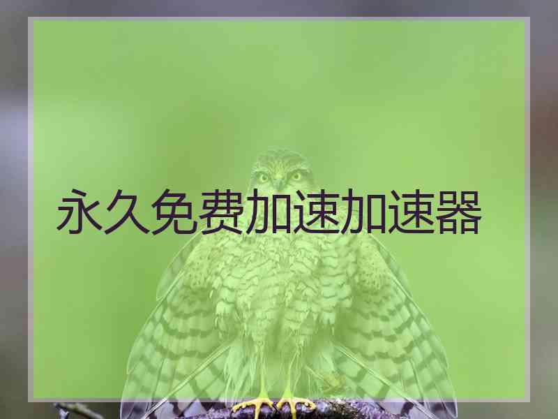 永久免费加速加速器