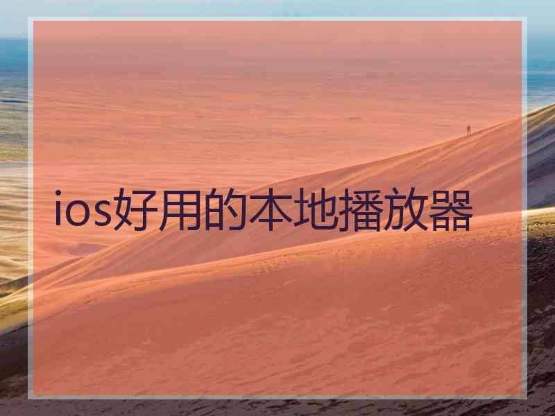 ios好用的本地播放器
