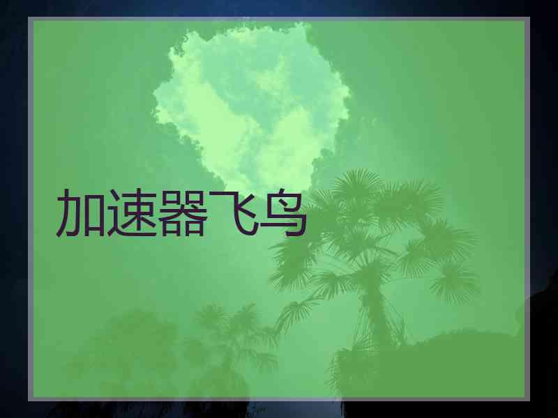 加速器飞鸟
