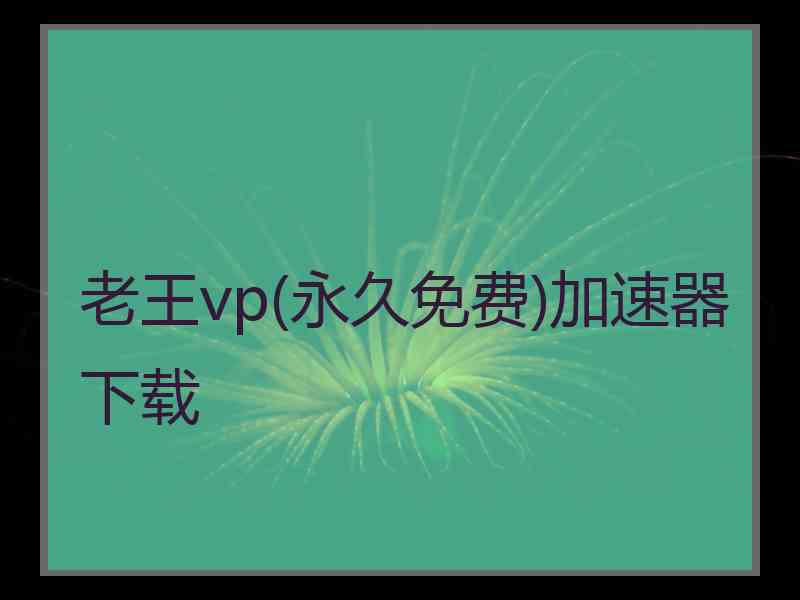 老王vp(永久免费)加速器下载