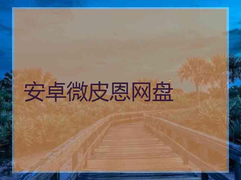 安卓微皮恩网盘
