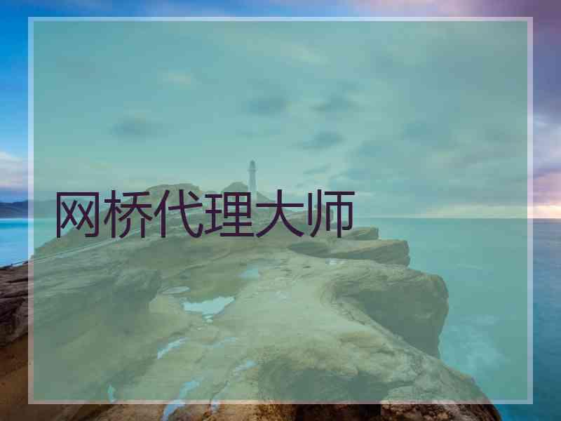 网桥代理大师