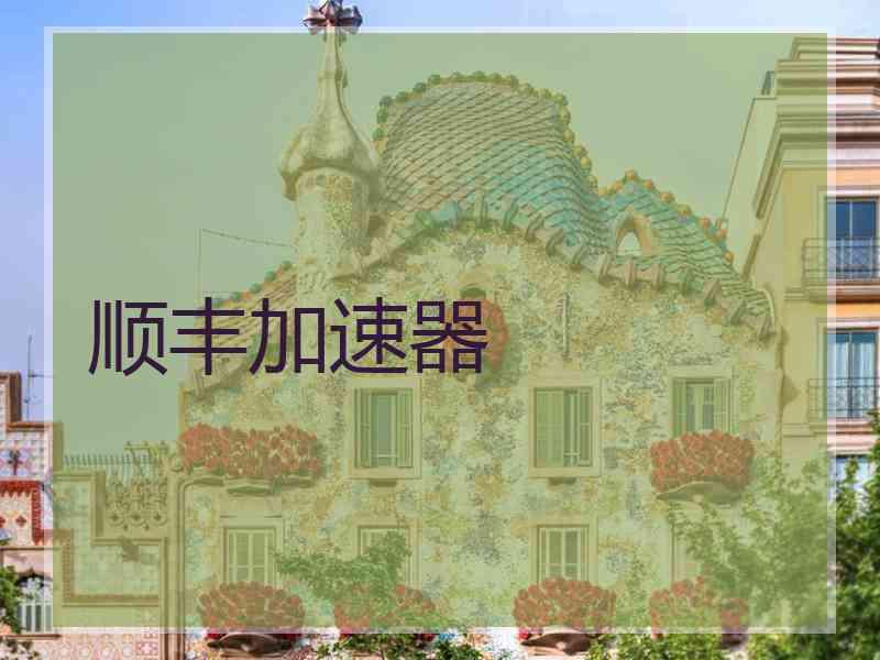 顺丰加速器