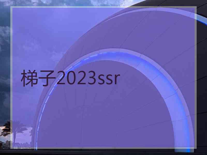 梯子2023ssr