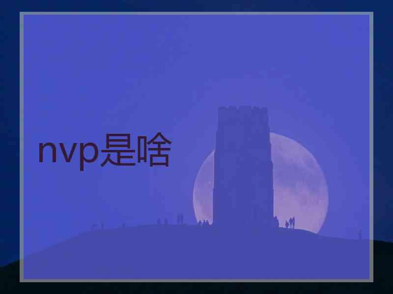 nvp是啥