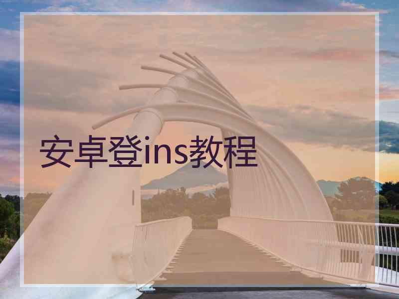 安卓登ins教程
