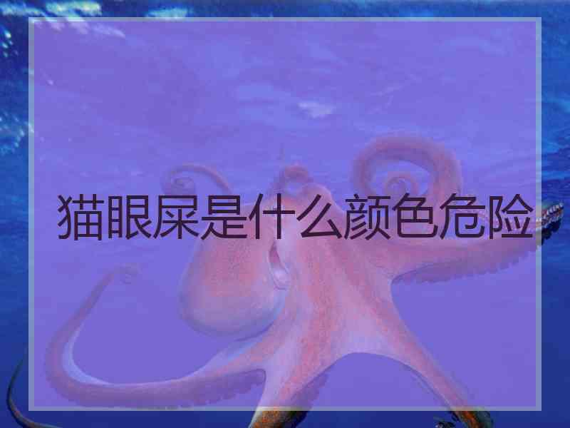 猫眼屎是什么颜色危险