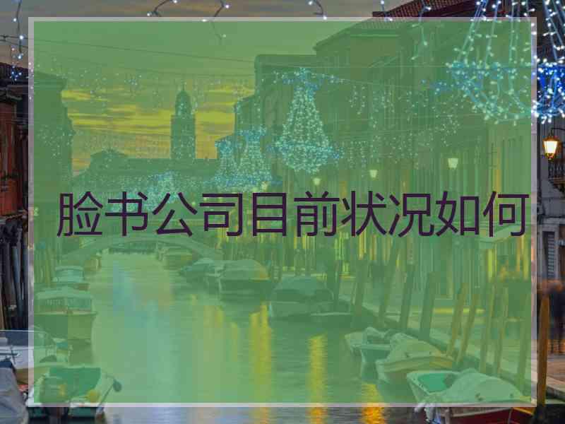 脸书公司目前状况如何