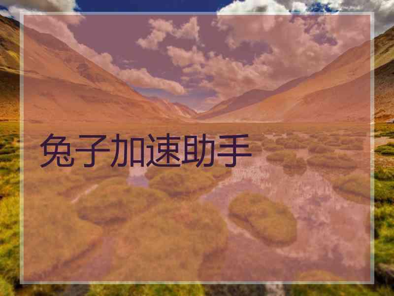 兔子加速助手