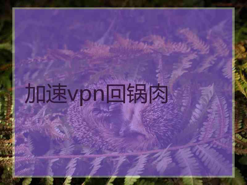 加速vpn回锅肉