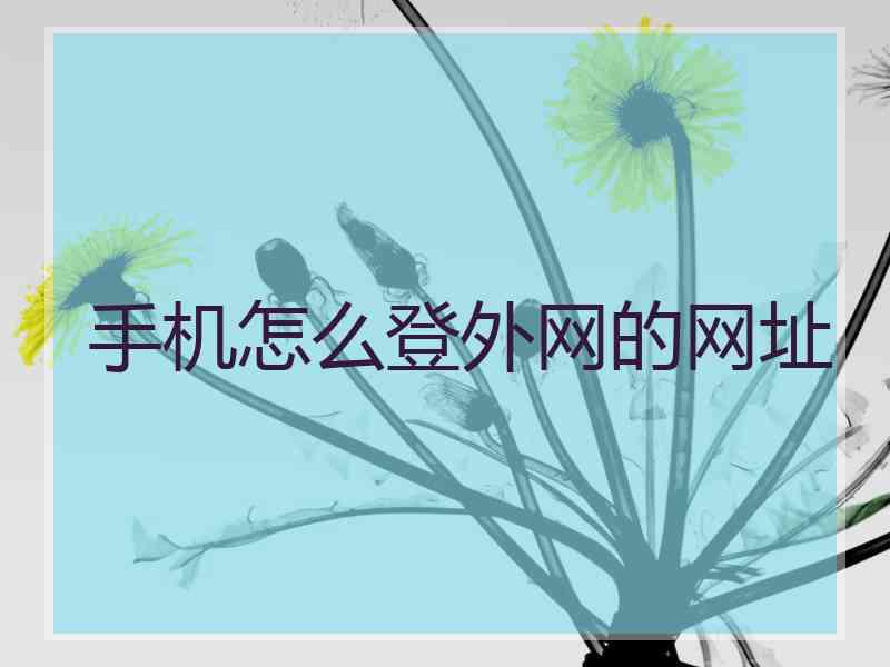 手机怎么登外网的网址