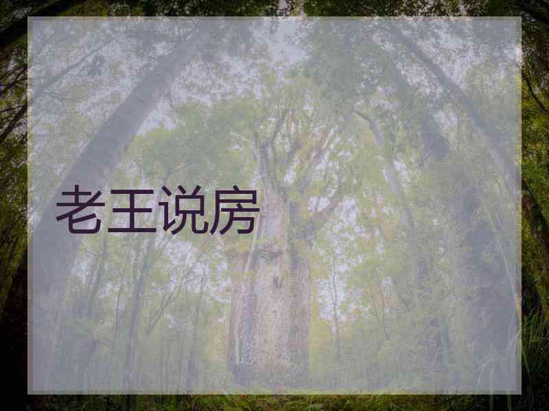 老王说房