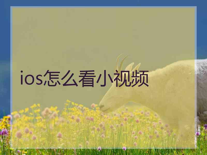 ios怎么看小视频