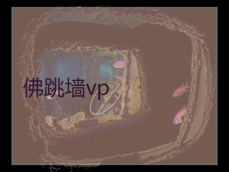 佛跳墙vp